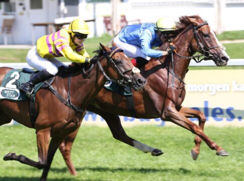 Piechulek liefert und reitet Quijana Starlet zum Sieg Quijana Starlet siegt unter Rene Piechulek