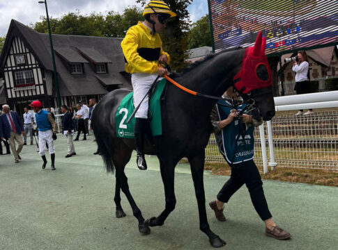 Defi du Galop: Weißmeiers Rashford am Samstag in Craoner Listenrennen Rashford vor dem Prix de Reux Foto: Hemke