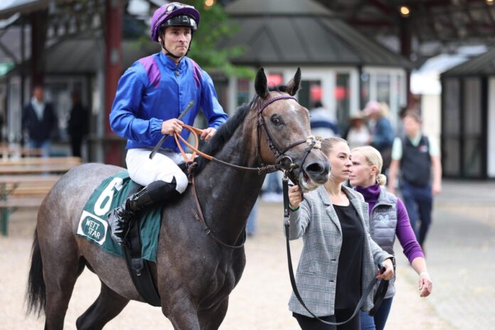 Rue Michel Ange Rue Michel Ange