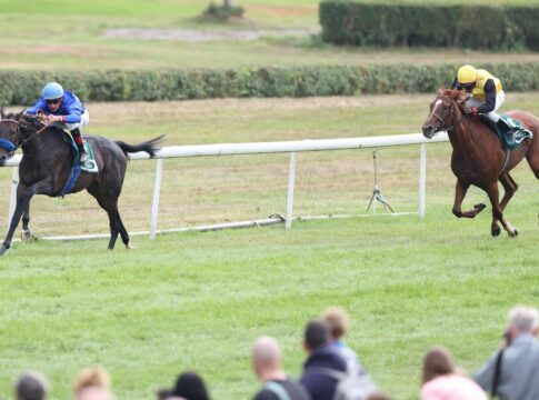 Santa Catarina überzeugt - Über Köln in die Winterkönigin Santa Catarina siegt unter Andrasch Starke