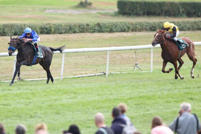 Santa Catarina siegt unter Andrasch Starke Santa Catarina siegt unter Andrasch Starke