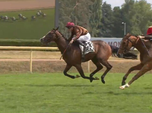Sarastro Foto: Screenshot/Equidia