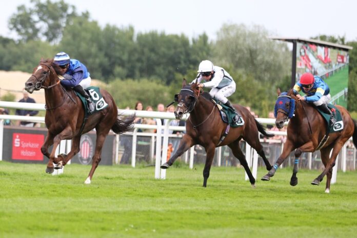 Schützenzauber, Kylian und Zerostress (v.li.) Schützenzauber, Kylian und Zerostress (v.li.)