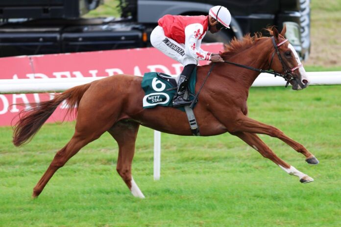 Sommersby siegt unter Eduardo Pedroza Sommersby siegt unter Eduardo Pedroza