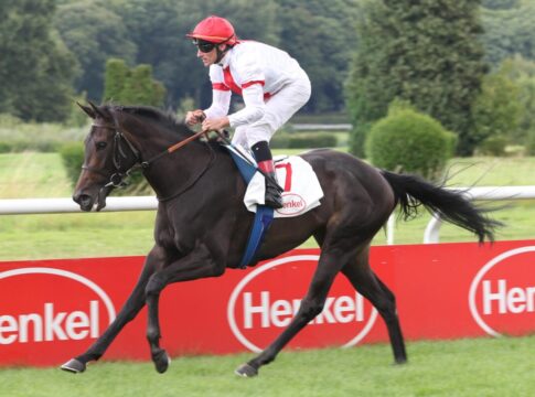 Zweiter Favoritensieg: Springtime springt aus der Maidenklasse Springtime siegt unter Andrasch Starke