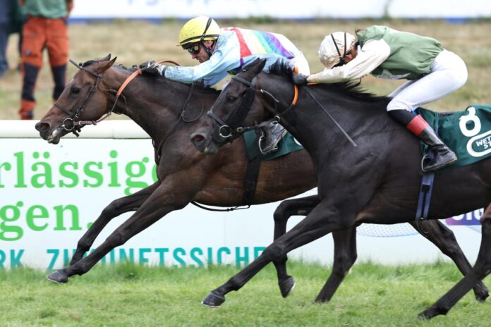 Tramina siegt unter Rene Piechulek Tramina siegt unter Rene Piechulek