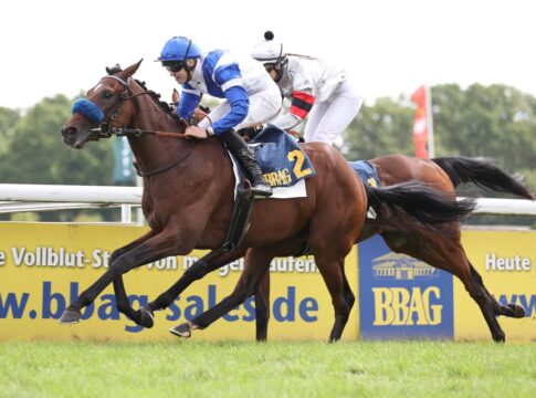 Grewe Eins-Zwei im BBAG Auktionsrennen – Voitton vor Perito Voitton siegt unter Leon Wolff im BBAG-Auktionsrennen