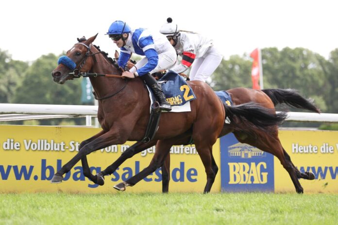 Voitton siegt unter Leon Wolff im BBAG-Auktionsrennen