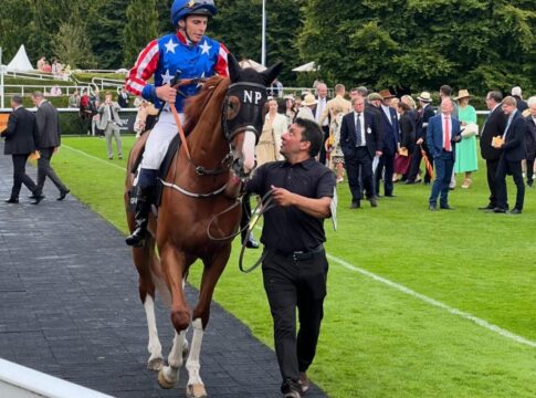 War Socks in Goodwood