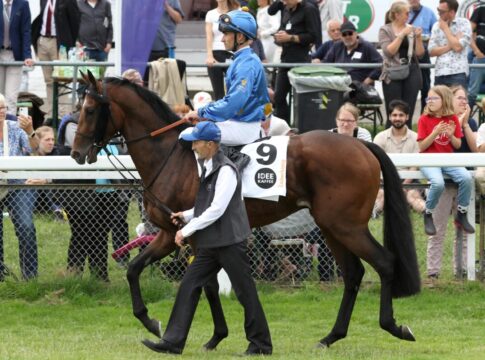 Derby-Starter Zauberkönig zurück - 2800 Meter gegen Waldadler Zauberkönig