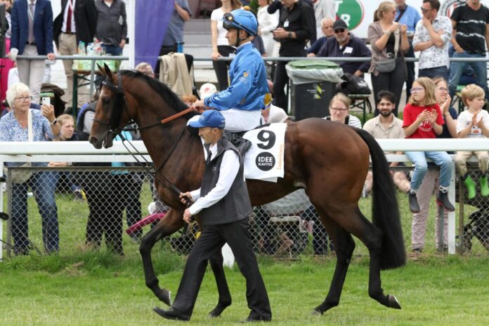 Zauberkönig Zauberkönig