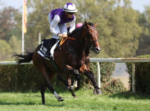 Favorit Ageless Lips der erste Saisonsieger in Saarbrücken Ageless Lips siegt unter Robin Weber