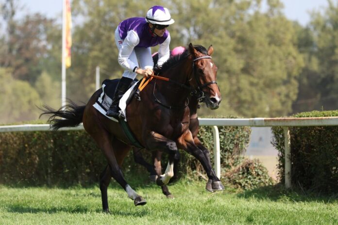 Ageless Lips siegt unter Robin Weber Ageless Lips siegt unter Robin Weber