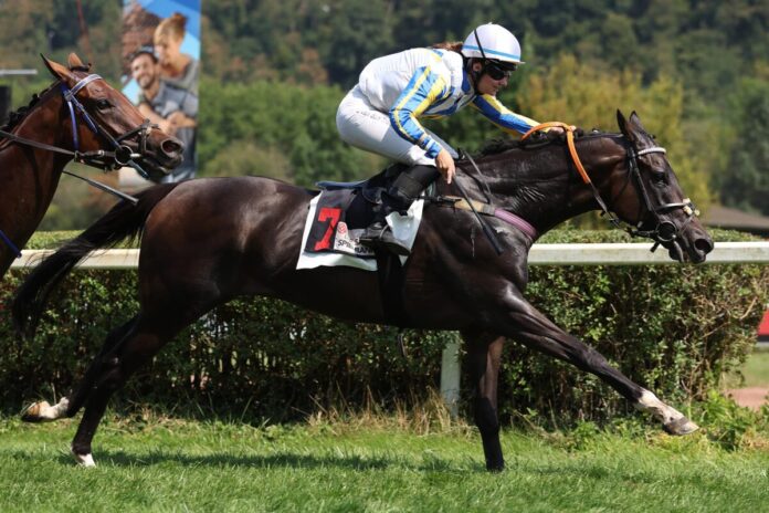 Arika siegt unter Anna van den Troost Arika siegt unter Anna van den Troost