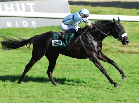 Nach fast genau einem Jahr: Dana Delight wieder in Iffezheim vorne Dana Delight