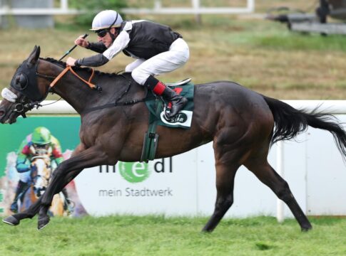 Dawn Sky hat den Sieg - Geht es jetzt sofort in die Zucht? Dawn Sky siegt unter Andrasch Starke