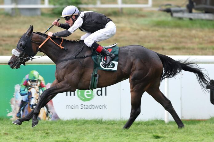 Dawn Sky siegt unter Andrasch Starke Dawn Sky siegt unter Andrasch Starke