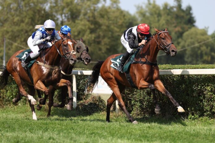 Doro siegt unter Kevin Braye Doro siegt unter Kevin Braye