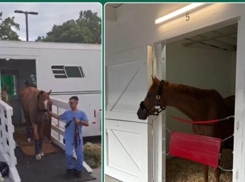 Flatten The Curve on Tour (Foto: privat)