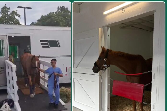 Flatten The Curve on Tour (Foto: privat) Flatten The Curve on Tour (Foto: privat)