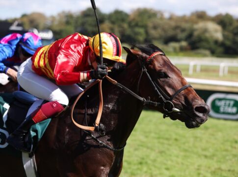 Spannendes Ende: Pacharan kommt knapp gegen unglücklichen Ali hin Pacharan siegt