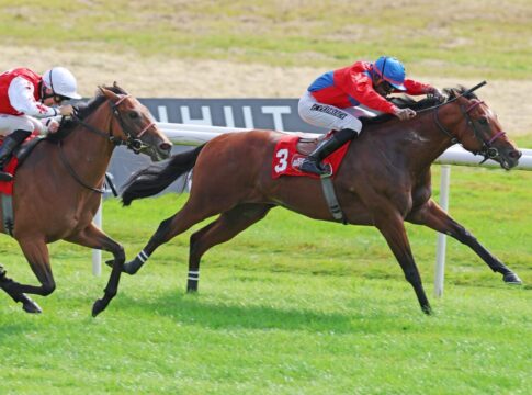 "Taktik kurzfristig umgestellt" - Parini marschiert vorne immer weiter Parini siegt