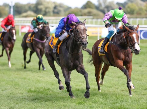 Wow! Rue Michel Ange holt drittes Iffezheim-Highlight für Steinberg/Piechulek-Team Rue Michel Ange (links) siegt