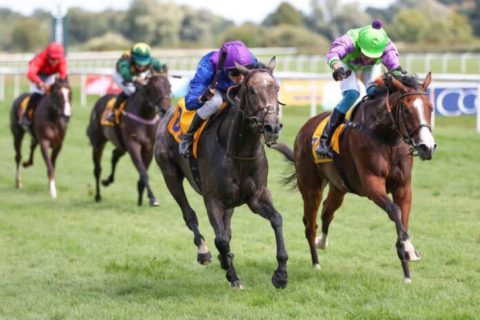 Rue Michel Ange (links) siegt