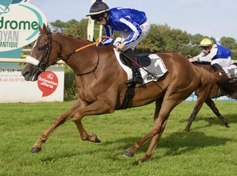 Batistic feiert an der Atlantikküste – 1.000 km Anreise für Sieger Mykiss Mykiss