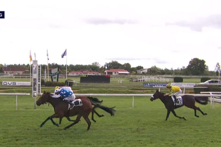 Bocskais Anno Solero erzwingt totes Rennen beim Debüt in Straßburg
