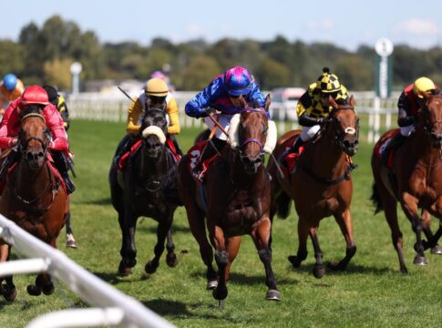 Es brennt beim Baden-Auftakt – Terratino Fire schlägt Heaven’s On Fire Terratino Fire siegt unter Nina Baltromei