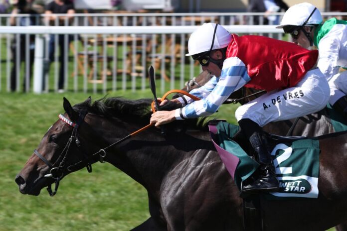 Believe in Me siegt unter Adrie de Vries