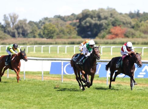 Believe in Me (re.) siegt unter Adrie de Vries