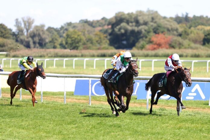 Believe in Me (re.) siegt unter Adrie de Vries Believe in Me (re.) siegt unter Adrie de Vries