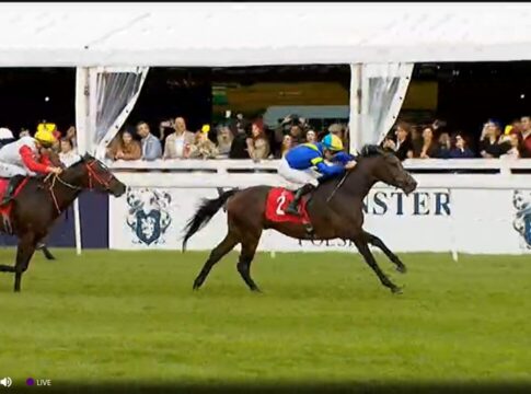 Top-Rennen in Warschau: Lady Monia Fünfte, Kosakenzipfel Neunter Bremen