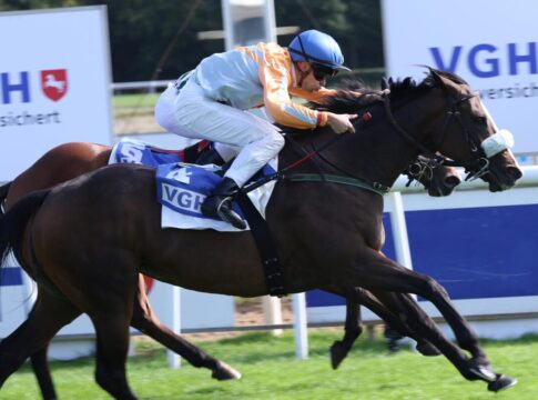 Die unglaubliche Circuskind: 16 Siege bei 108 Starts - Dann Feuerwehrfelicitas Circuskind siegt unter Thore Hammer-Hansen