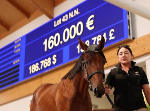 100k geknackt – HKJC kauft Soldier Hollow-Sohn – Sauren die Quest the Moon-Schwester Der Soldier Hollow-Sohn aus der Quantum Love