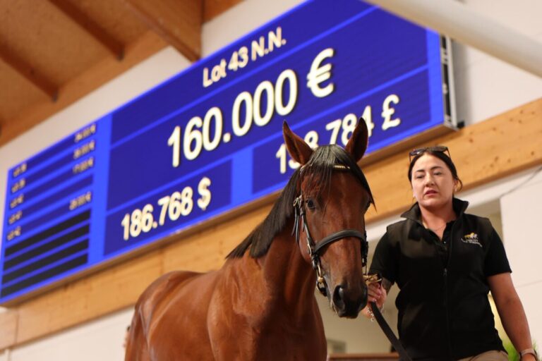 Der Soldier Hollow-Sohn aus der Quantum Love