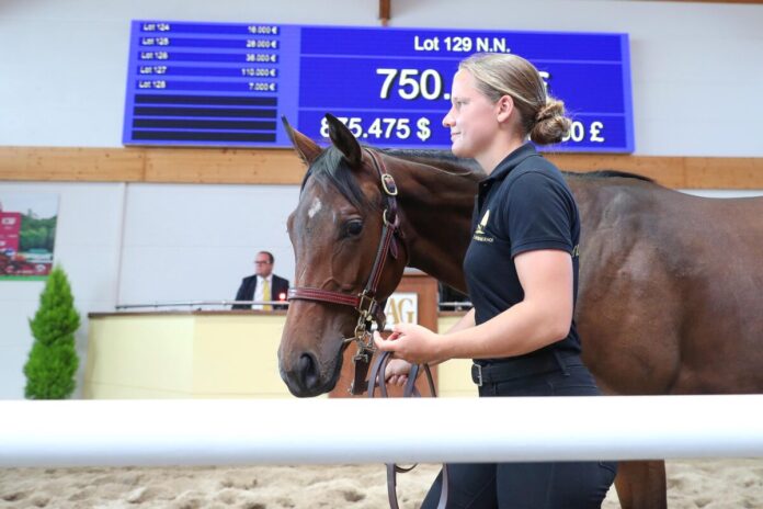 Der Topseller aus der Novemba Der Topseller aus der Novemba