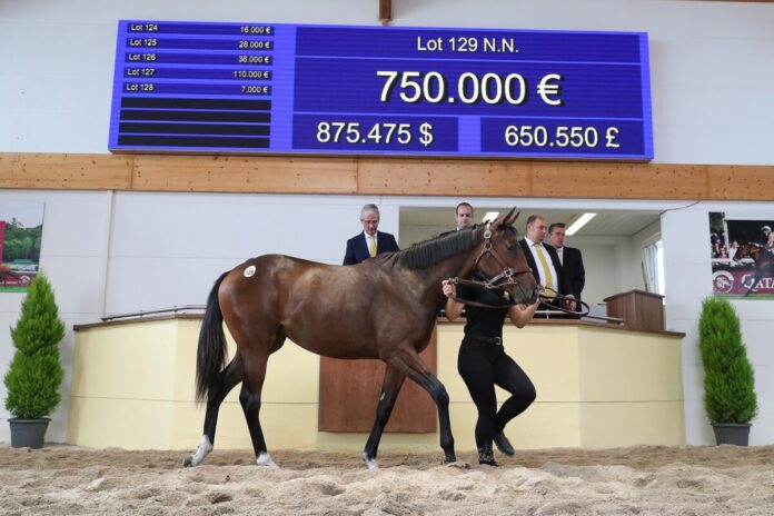 Die Sea The Stars-Tochter aus der klassischen Siegerin Novemba Die Sea The Stars-Tochter aus der klassischen Siegerin Novemba