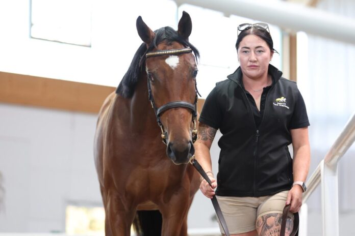 Die Soldier Hollow-Tochter aus der Dalmenya Die Soldier Hollow-Tochter aus der Dalmenya
