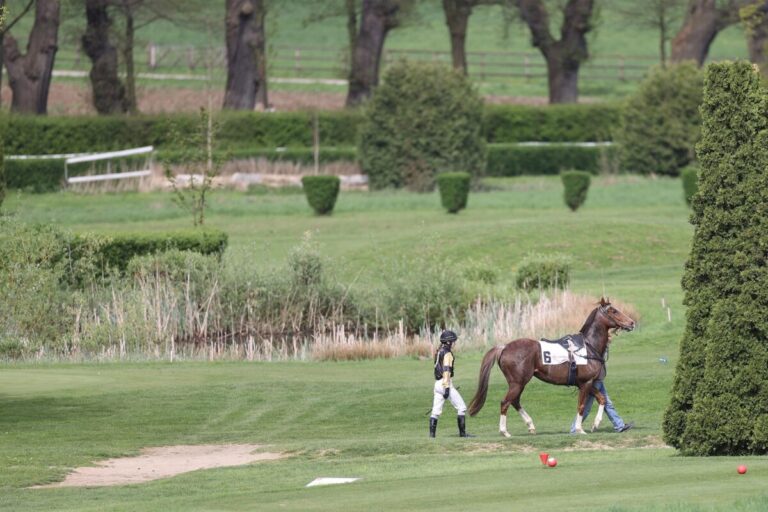 Das sind die Nichtstarter für den 14. September