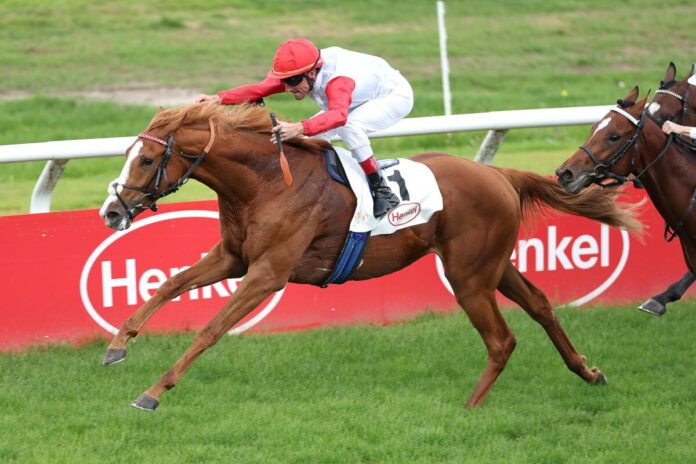 Guevara siegt unter Andrasch Starke