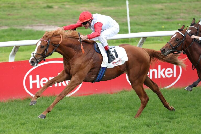 Guevara siegt unter Andrasch Starke