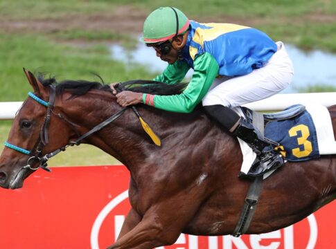 Chevalex-Doppel am Sonntag – Avyaan kann es im Auktionsrennen am besten Avyaan siegt unter Eduardo Pedroza im Großer Preis von Engel & Völkers – BBAG Auktionsrennen