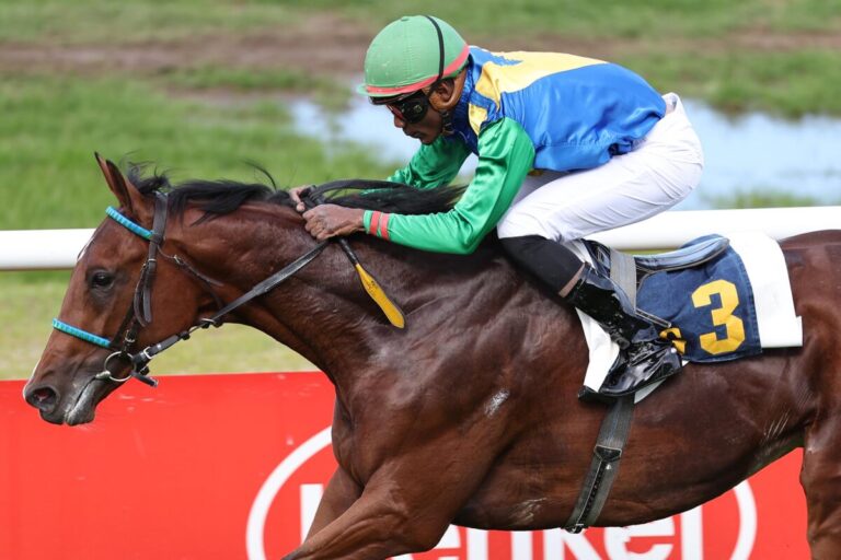 Chevalex-Doppel am Sonntag – Avyaan kann es im Auktionsrennen am besten