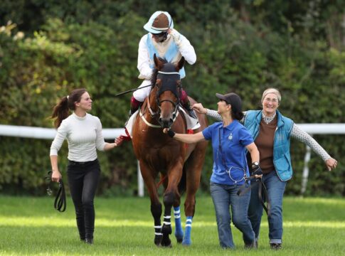 Potters mit El Faras in der Viererwette – Ricupa mit Wakey Wakey nach Pause Wakey Wakey siegt unter Andrea Ricupa