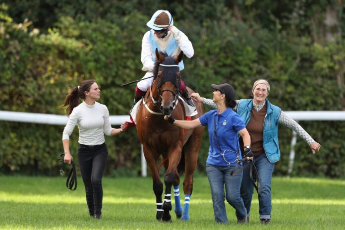 Wakey Wakey siegt unter Andrea Ricupa