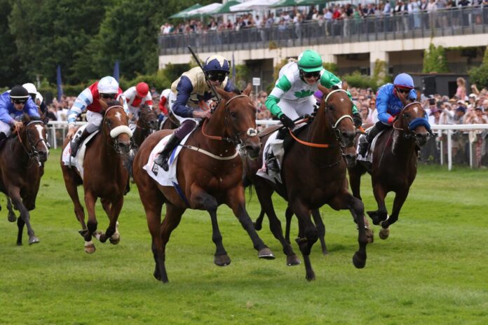 Enzian, Hochkönig, Convergent und Lazio (v.re.) Enzian, Hochkönig, Convergent und Lazio (v.re.)