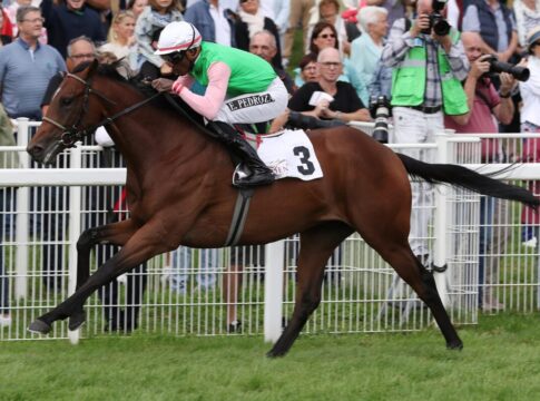 Gostam siegt unter Eduardo Pedroza im 152. Renate und Albrecht Woeste-Zukunftsrennen – Gr. 3